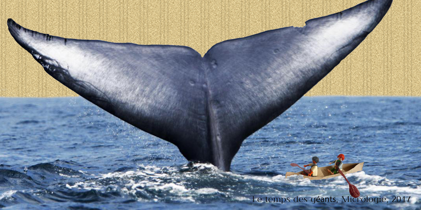 Baleines : le temps des géants, micrologie